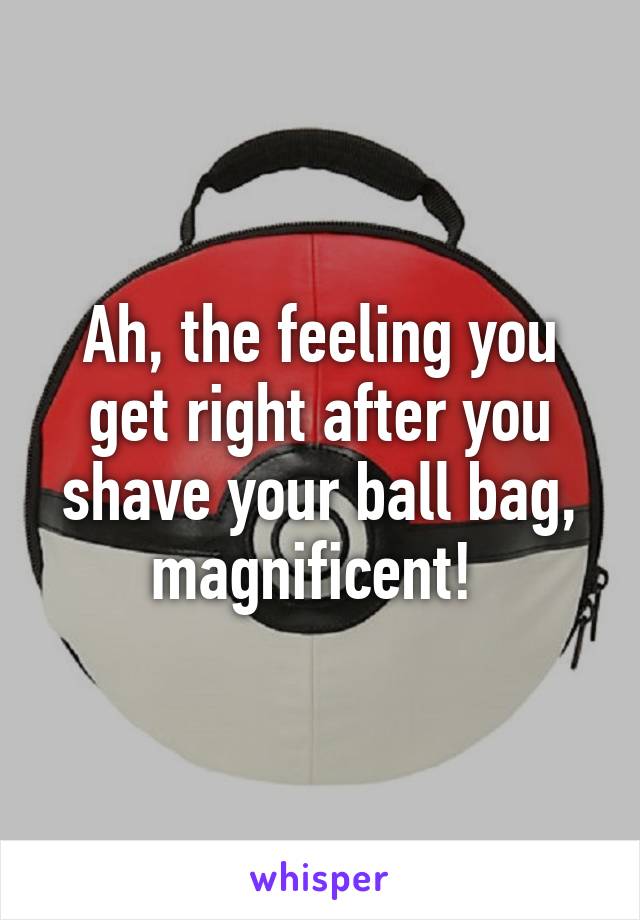 Ah, the feeling you get right after you shave your ball bag, magnificent! 