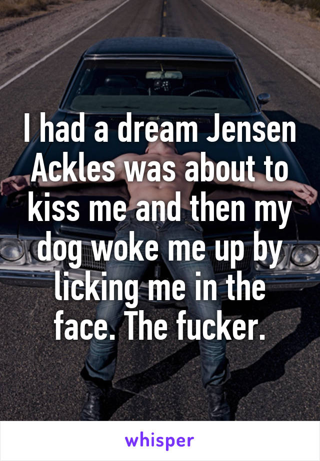 I had a dream Jensen Ackles was about to kiss me and then my dog woke me up by licking me in the face. The fucker.