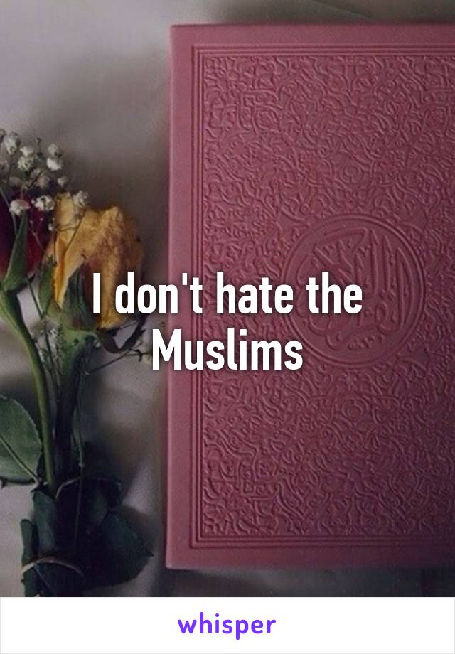 I don't hate the Muslims