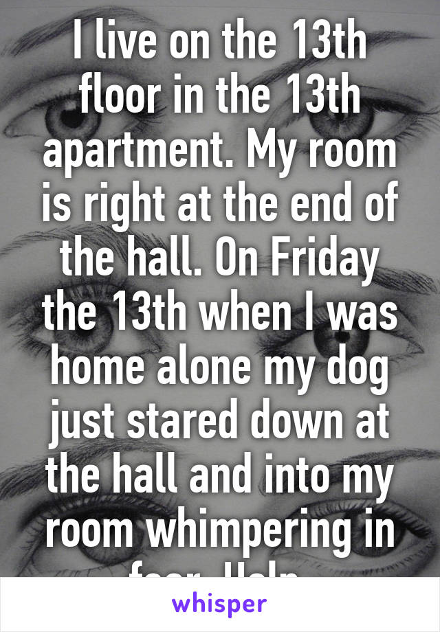 I live on the 13th floor in the 13th apartment. My room is right at the end of the hall. On Friday the 13th when I was home alone my dog just stared down at the hall and into my room whimpering in fear. Help.