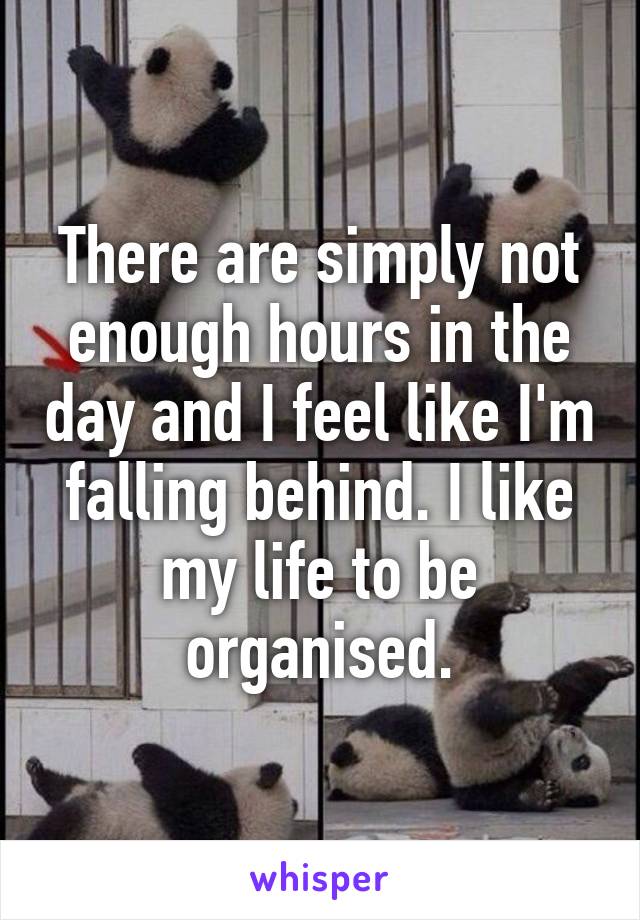 There are simply not enough hours in the day and I feel like I'm falling behind. I like my life to be organised.