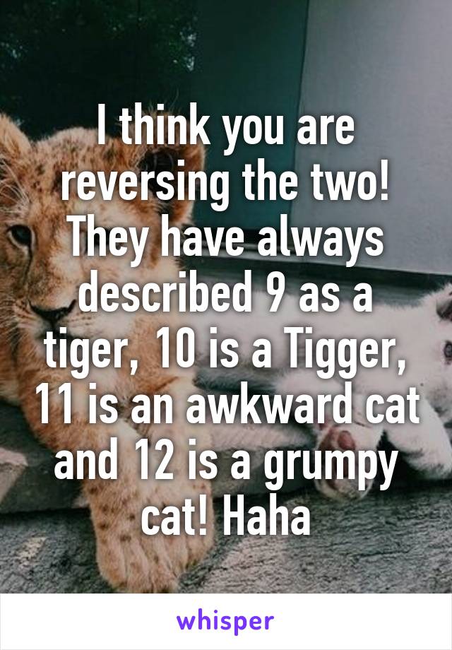 I think you are reversing the two! They have always described 9 as a tiger, 10 is a Tigger, 11 is an awkward cat and 12 is a grumpy cat! Haha