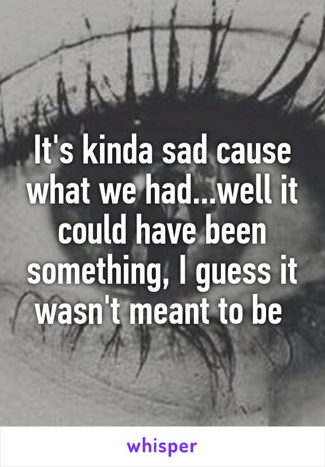 It's kinda sad cause what we had...well it could have been something, I guess it wasn't meant to be 