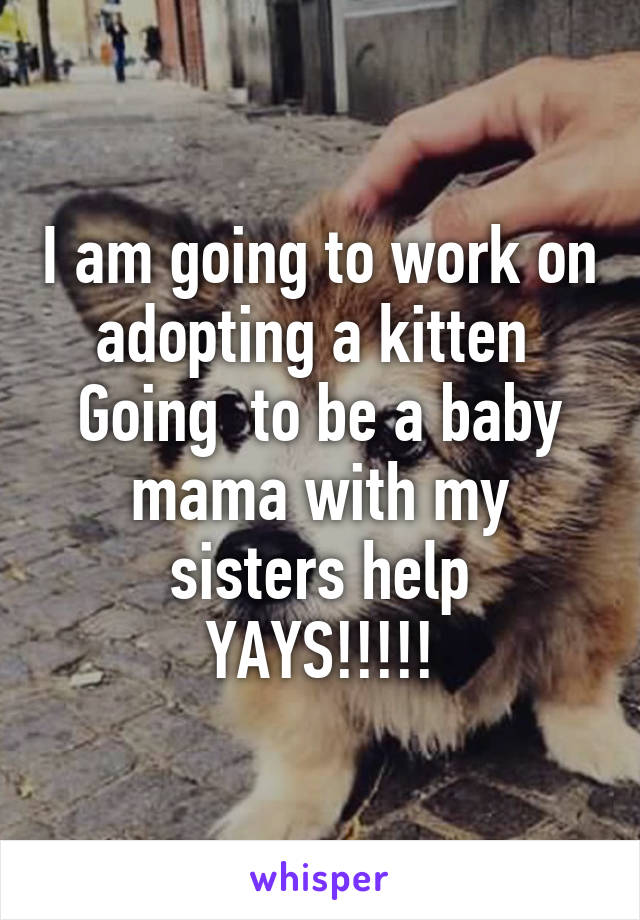 I am going to work on adopting a kitten 
Going  to be a baby mama with my sisters help
YAYS!!!!!