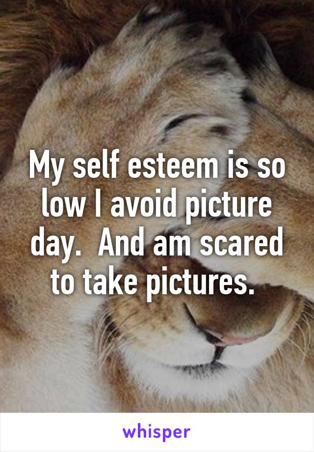 My self esteem is so low I avoid picture day.  And am scared to take pictures. 