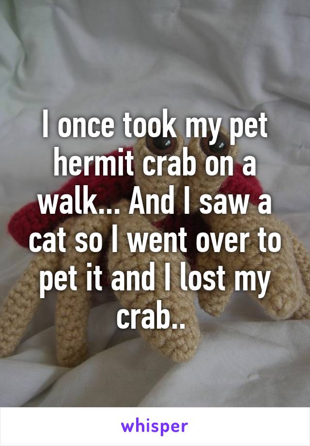 I once took my pet hermit crab on a walk... And I saw a cat so I went over to pet it and I lost my crab.. 