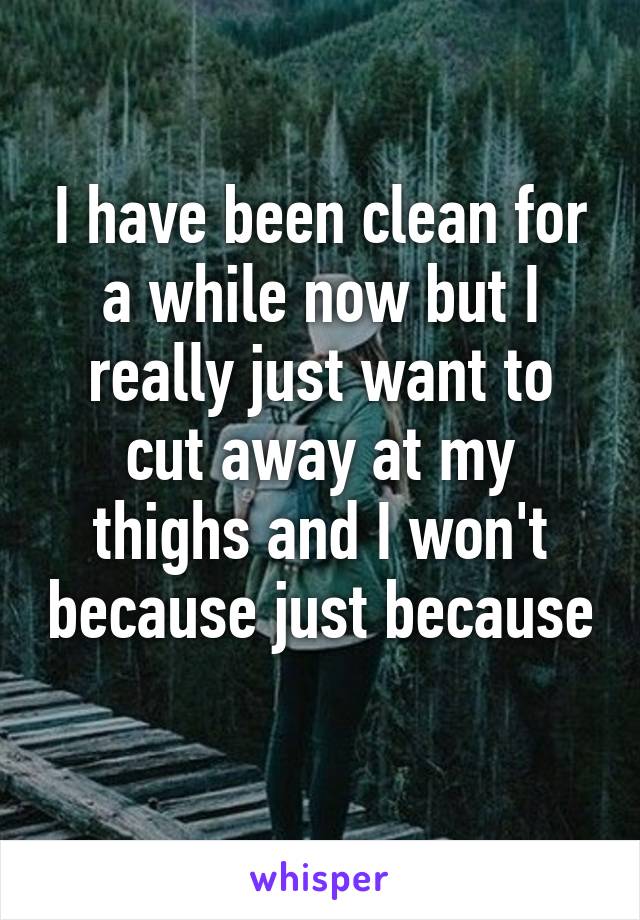 I have been clean for a while now but I really just want to cut away at my thighs and I won't because just because
