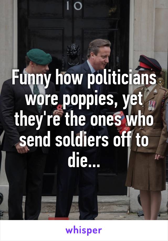 Funny how politicians wore poppies, yet they're the ones who send soldiers off to die...