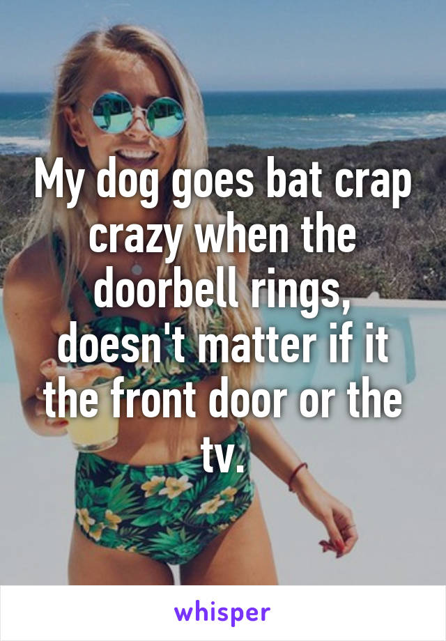 My dog goes bat crap crazy when the doorbell rings, doesn't matter if it the front door or the tv.