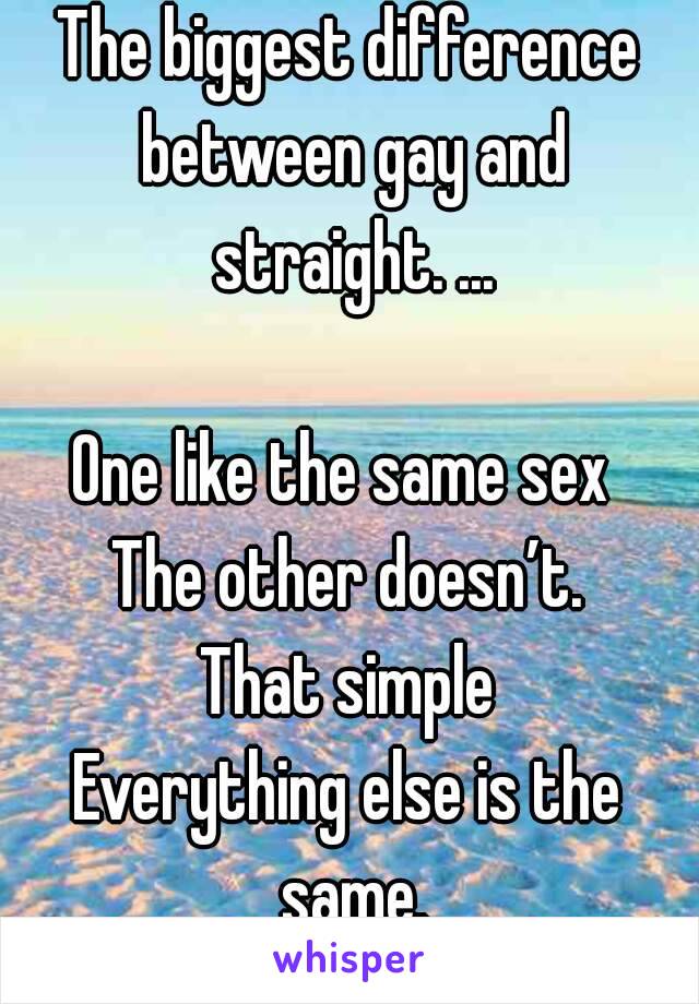 The biggest difference between gay and straight. ...

One like the same sex 
The other doesn’t.
 That simple 
Everything else is the same.
