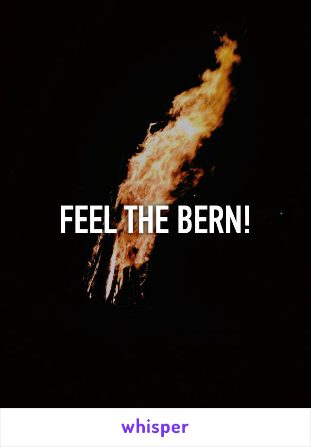 FEEL THE BERN!