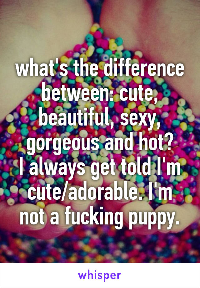 what's the difference between: cute, beautiful, sexy, gorgeous and hot?
I always get told I'm cute/adorable. I'm not a fucking puppy.