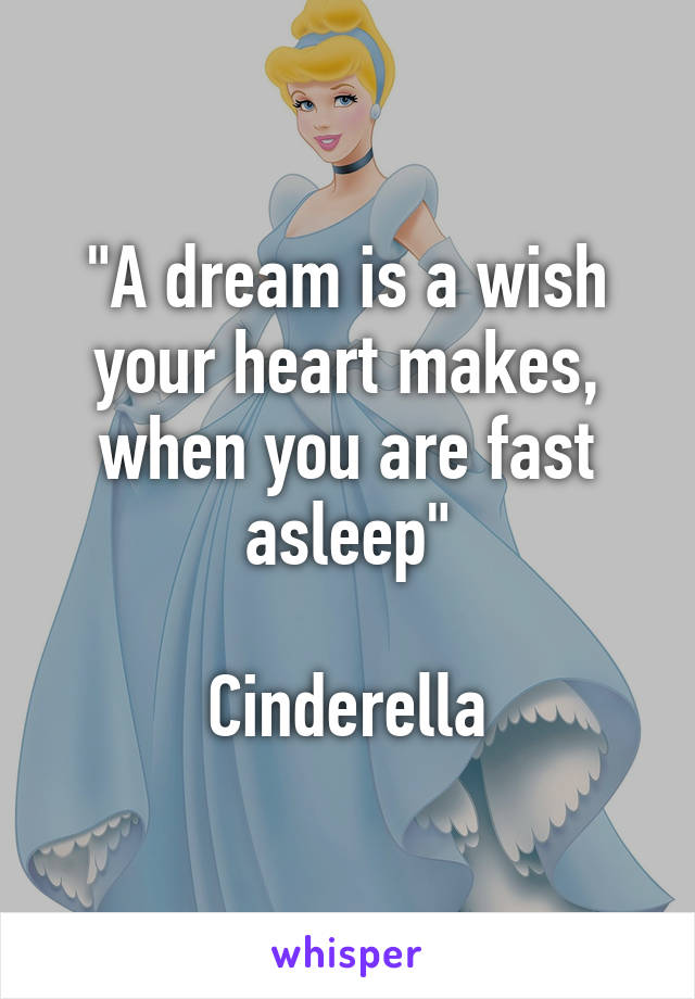 "A dream is a wish your heart makes, when you are fast asleep"

Cinderella