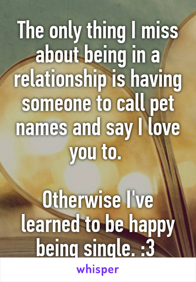 The only thing I miss about being in a relationship is having someone to call pet names and say I love you to. 

Otherwise I've learned to be happy being single. :3 