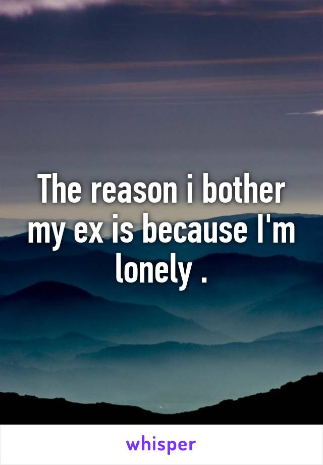 The reason i bother my ex is because I'm lonely .