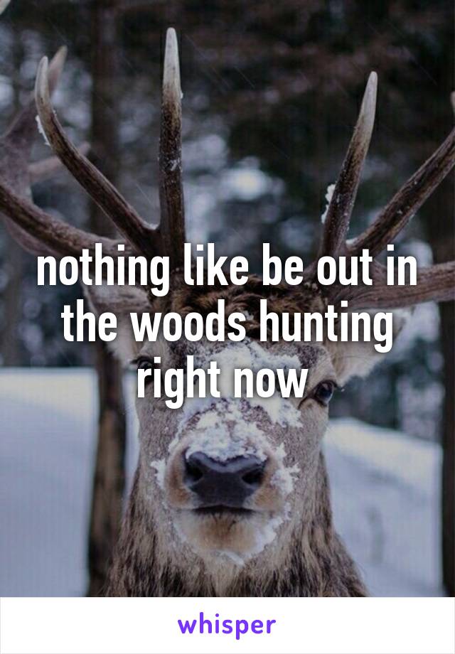 nothing like be out in the woods hunting right now 