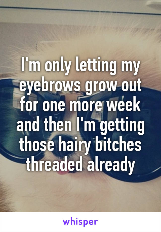 I'm only letting my eyebrows grow out for one more week and then I'm getting those hairy bitches threaded already