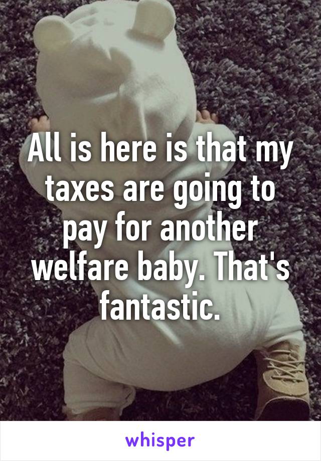 All is here is that my taxes are going to pay for another welfare baby. That's fantastic.