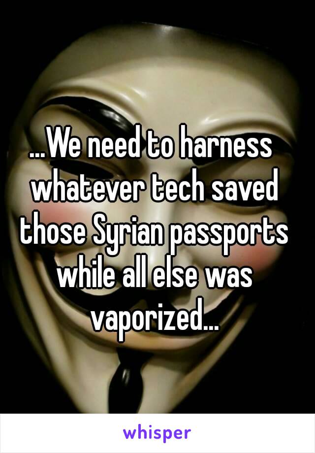 ...We need to harness whatever tech saved those Syrian passports while all else was vaporized...