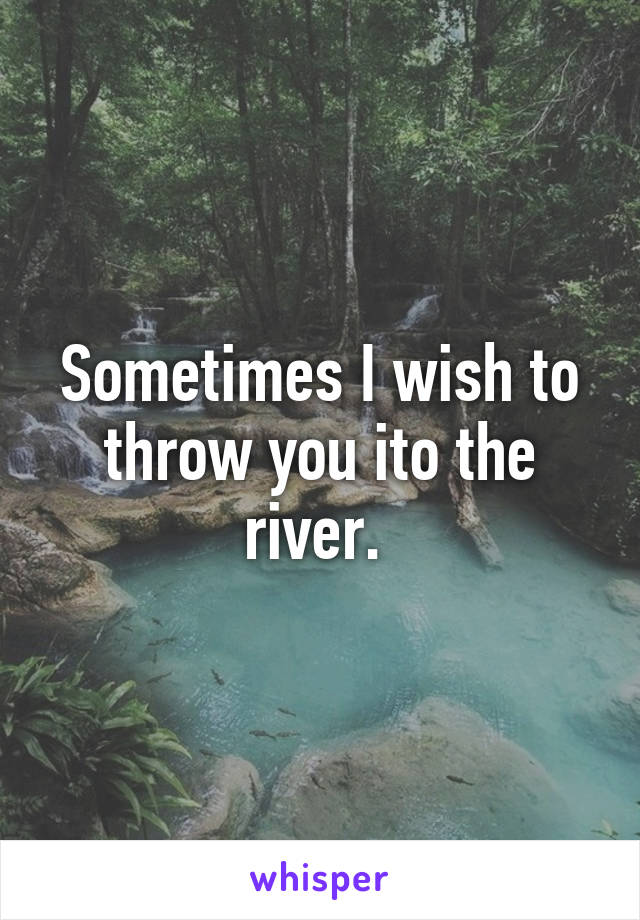 Sometimes I wish to throw you ito the river. 