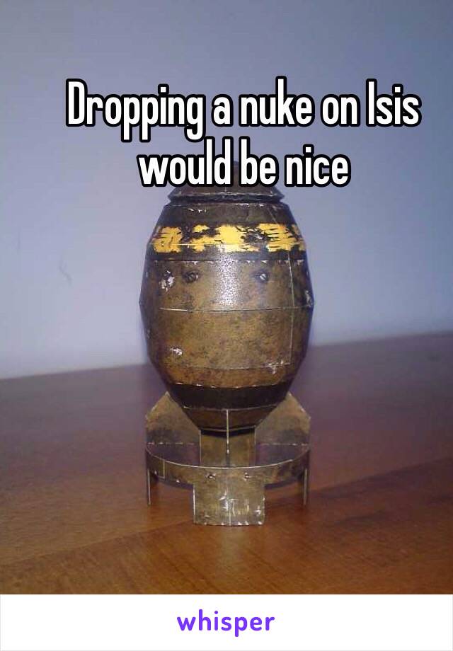 Dropping a nuke on Isis would be nice 
