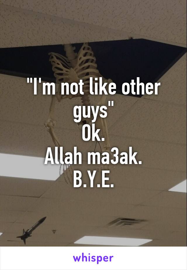 "I'm not like other guys"
Ok.
Allah ma3ak.
B.Y.E.