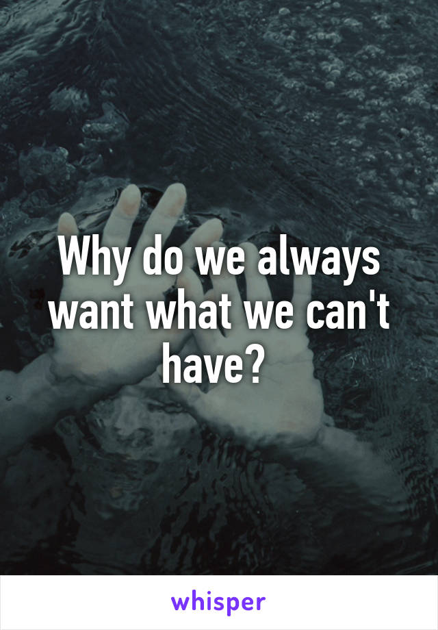 Why do we always want what we can't have? 