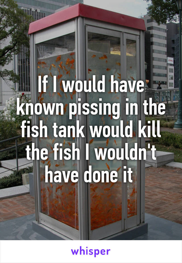 If I would have known pissing in the fish tank would kill the fish I wouldn't have done it 