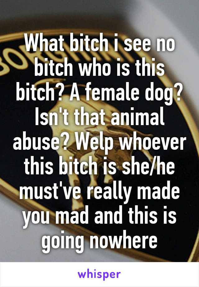 What bitch i see no bitch who is this bitch? A female dog? Isn't that animal abuse? Welp whoever this bitch is she/he must've really made you mad and this is going nowhere