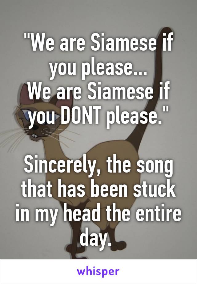 "We are Siamese if you please...
We are Siamese if you DONT please."
 
Sincerely, the song that has been stuck in my head the entire day. 