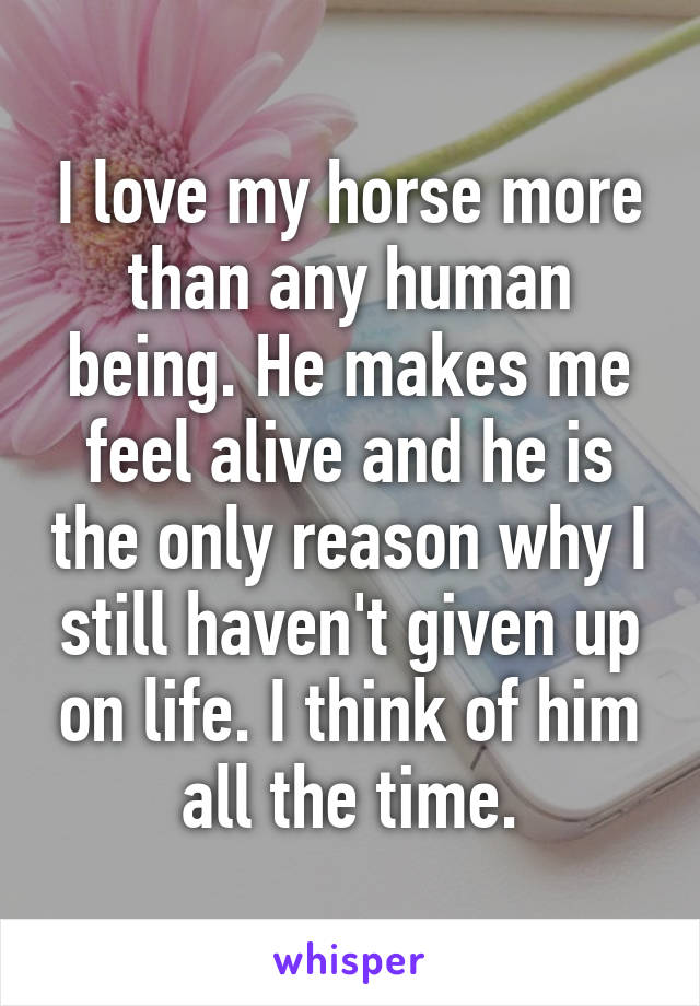 I love my horse more than any human being. He makes me feel alive and he is the only reason why I still haven't given up on life. I think of him all the time.