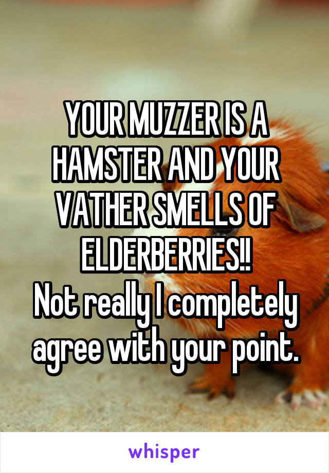 YOUR MUZZER IS A HAMSTER AND YOUR VATHER SMELLS OF ELDERBERRIES!!
Not really I completely agree with your point.