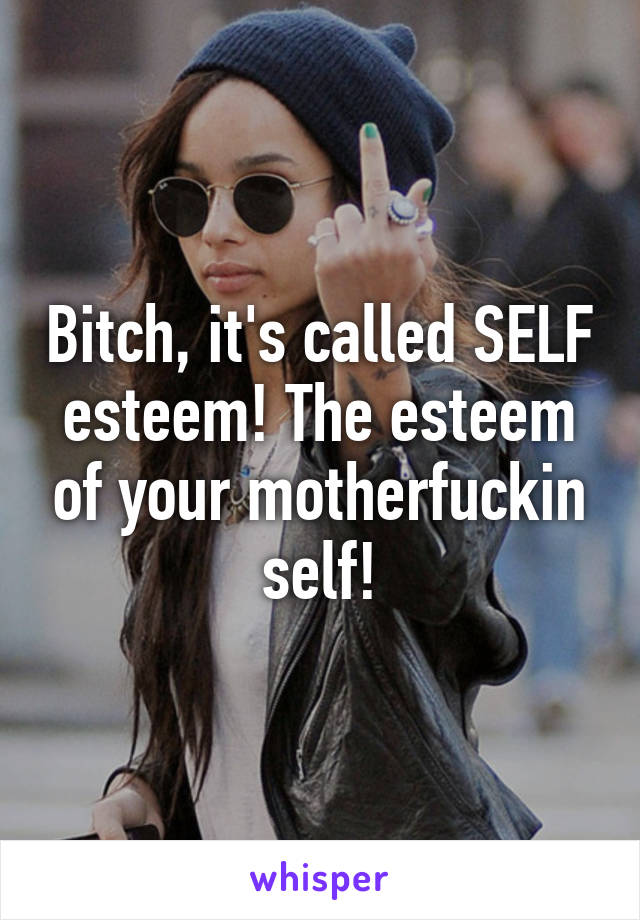 Bitch, it's called SELF esteem! The esteem of your motherfuckin self!