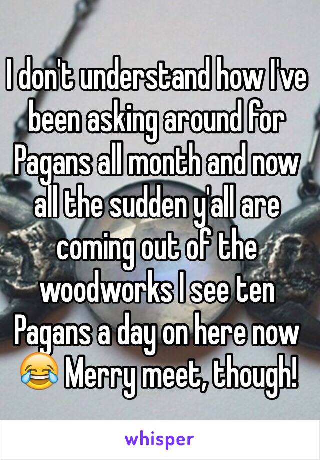 I don't understand how I've been asking around for Pagans all month and now all the sudden y'all are coming out of the woodworks I see ten Pagans a day on here now 😂 Merry meet, though! 