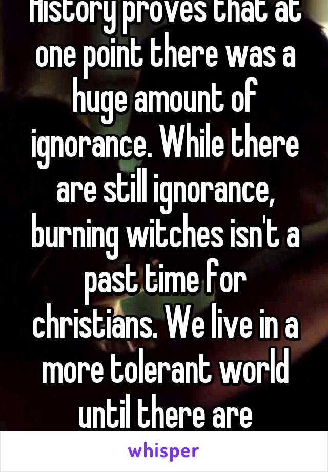 History proves that at one point there was a huge amount of ignorance. While there are still ignorance, burning witches isn't a past time for christians. We live in a more tolerant world until there are terrorists of a belief