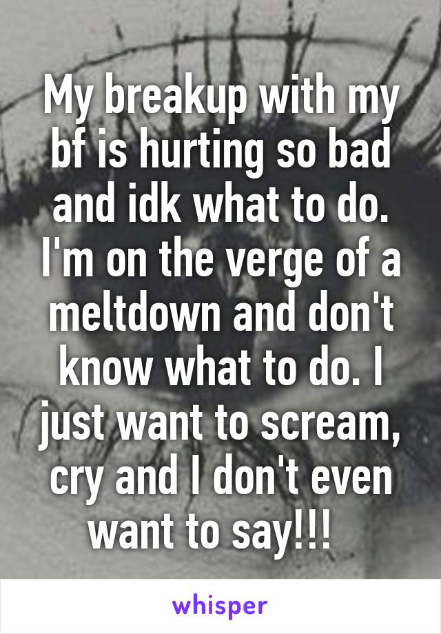 My breakup with my bf is hurting so bad and idk what to do. I'm on the verge of a meltdown and don't know what to do. I just want to scream, cry and I don't even want to say!!!  