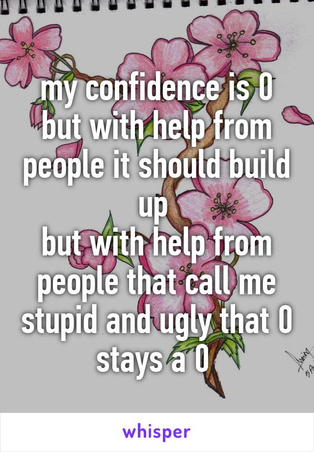 my confidence is 0
but with help from people it should build up 
but with help from people that call me stupid and ugly that 0 stays a 0 