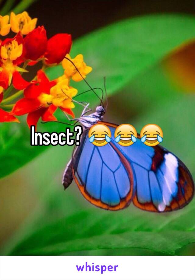 Insect? 😂😂😂