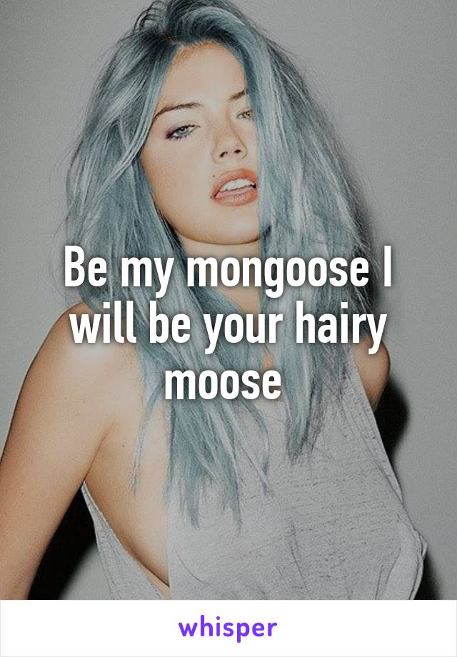 Be my mongoose I will be your hairy moose 