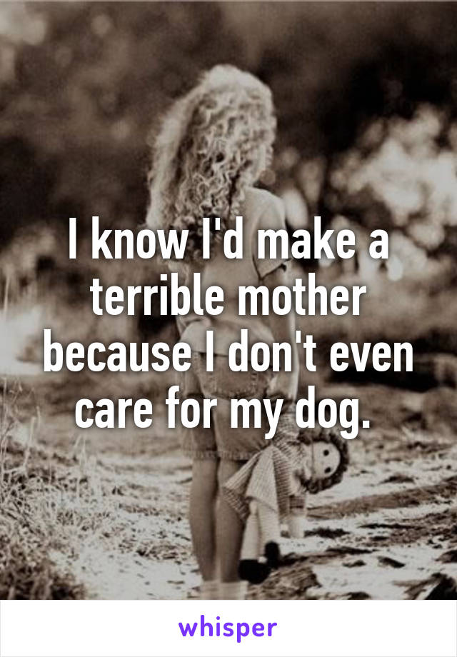 I know I'd make a terrible mother because I don't even care for my dog. 