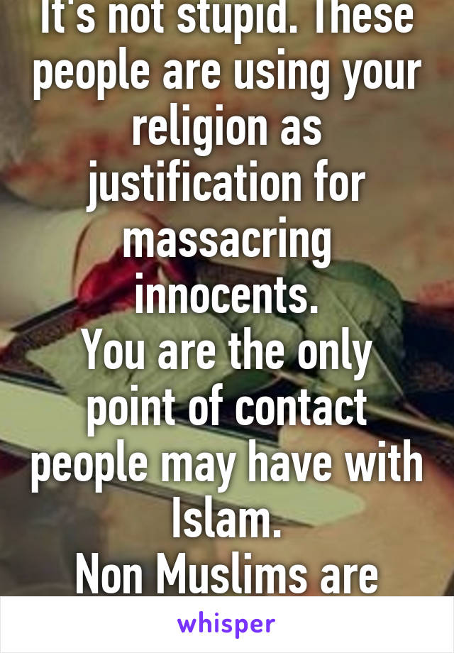 It's not stupid. These people are using your religion as justification for massacring innocents.
You are the only point of contact people may have with Islam.
Non Muslims are worried.