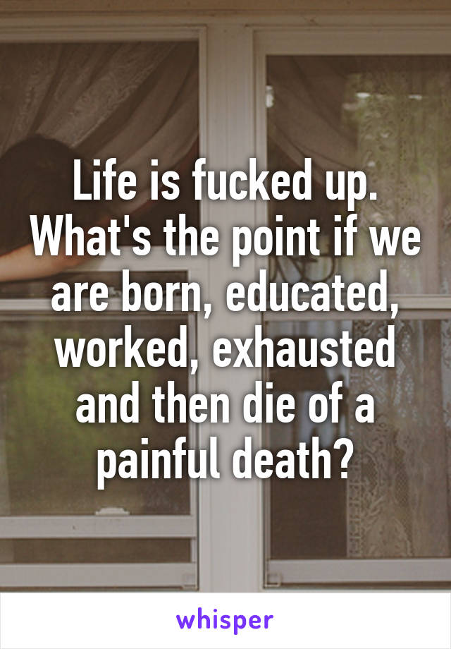 Life is fucked up. What's the point if we are born, educated, worked, exhausted and then die of a painful death?