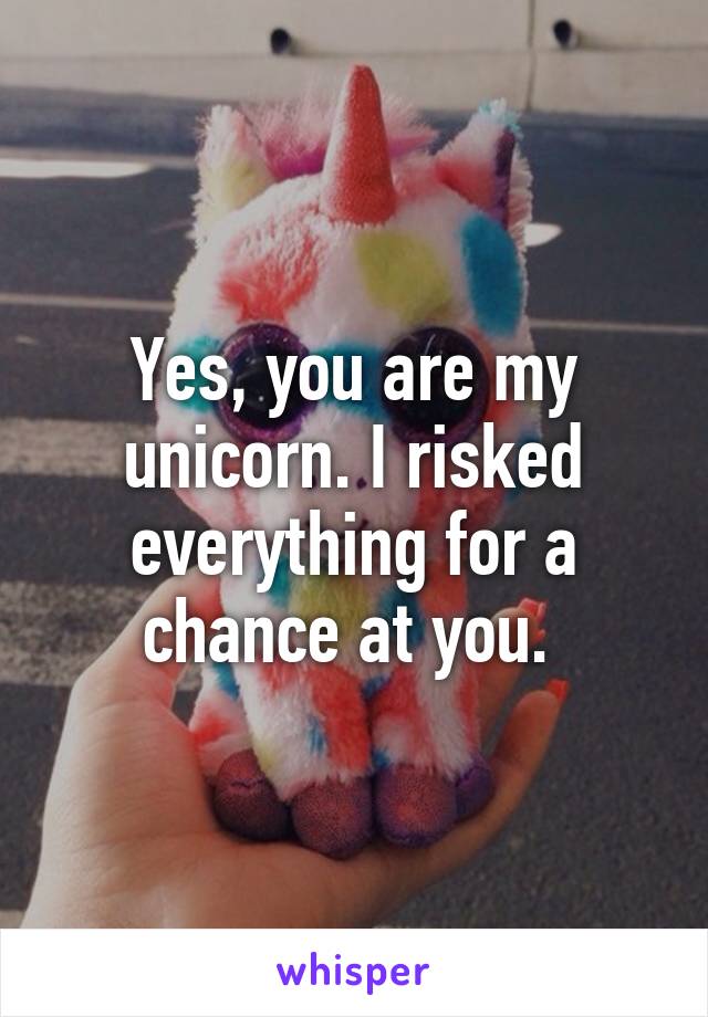 Yes, you are my unicorn. I risked everything for a chance at you. 