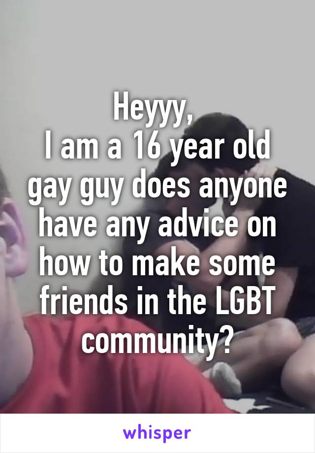 Heyyy, 
I am a 16 year old gay guy does anyone have any advice on how to make some friends in the LGBT community?