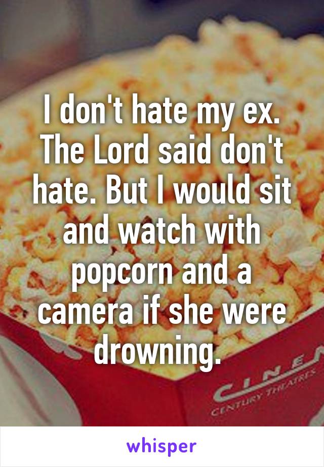 I don't hate my ex. The Lord said don't hate. But I would sit and watch with popcorn and a camera if she were drowning. 