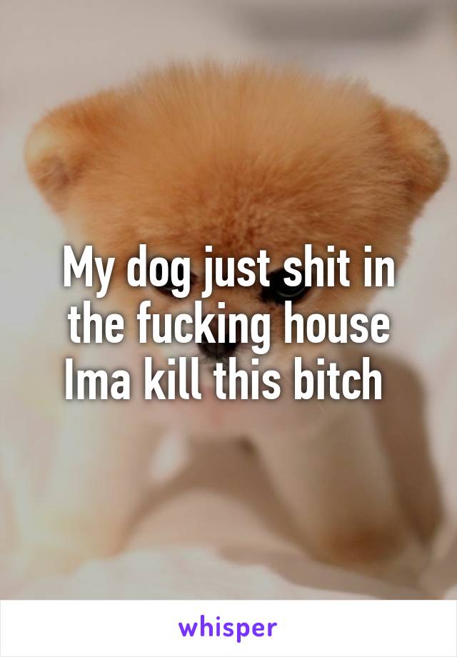 My dog just shit in the fucking house Ima kill this bitch 