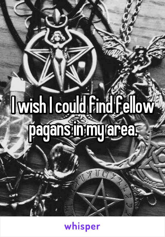 I wish I could find fellow pagans in my area.