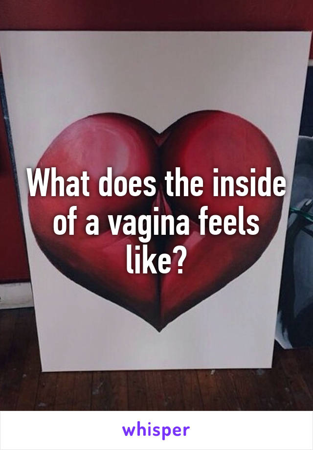 What does the inside of a vagina feels like?