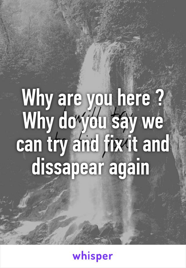 Why are you here ? Why do you say we can try and fix it and dissapear again 