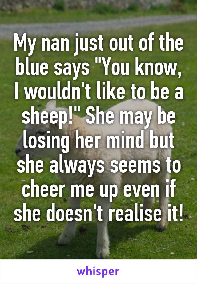 My nan just out of the blue says "You know, I wouldn't like to be a sheep!" She may be losing her mind but she always seems to cheer me up even if she doesn't realise it! 